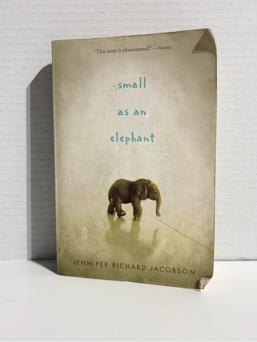 Small as an Elephant Jennifer Jacobson Paperback Book Fiction Novel 2013